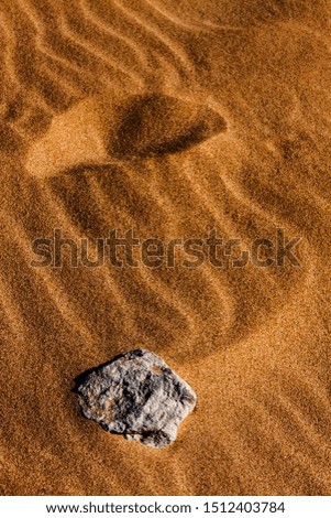 Similar – Sea snails on the beach