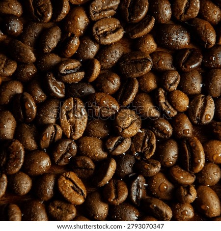 The texture of fresh coffee beans