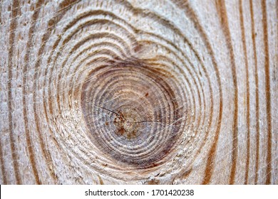 The texture of a fresh wooden board. Macro shot