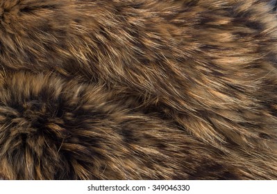 texture of fur - fox - high resolution