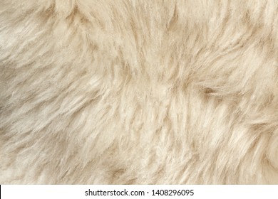 Brown Rabbit Fur Texture Animal Skin Stock Photo (Edit Now) 1597358173