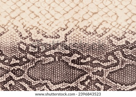 Texture of genuine leather close-up, embossed under  skin of reptile, background