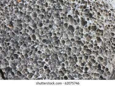Try our API - Shutterstock
