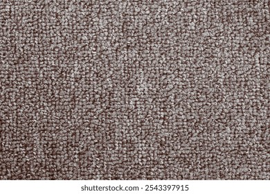 Texture of Gray Loop-Pile Carpet