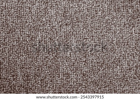 Texture of Gray Loop-Pile Carpet
