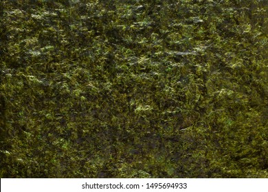 Texture Of Green Algae Nori