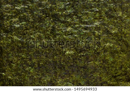 Texture of green algae nori