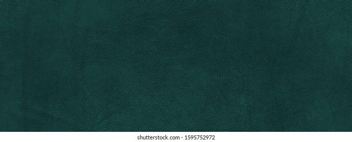 Texture of green leather material, panoramic view, dark background