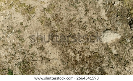 Texture ground, seamless texture ground