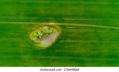 Texture of Hill from the sky 