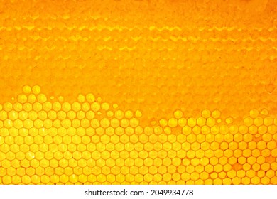 Texture Of Honey Combs, Top View