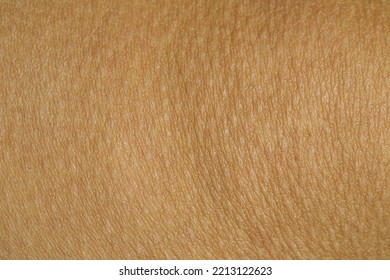 Texture of human skin as background, closeup view - Shutterstock ID 2213122623
