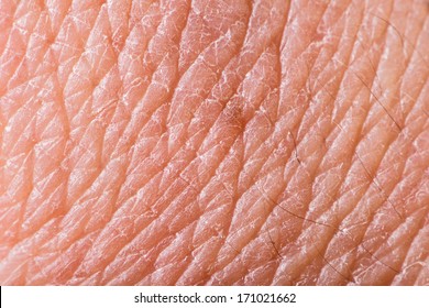 Texture Of Human Skin. Extreme Close Up Macro Shot
