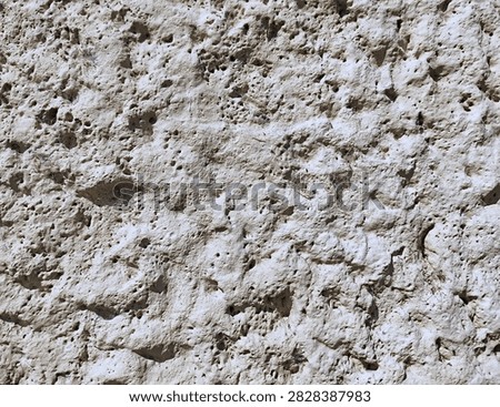 Texture image, a close-up of a grayish-white rough wall surface lit from the side by the sun.