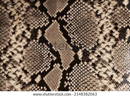 Texture leather snake brown background.