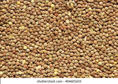 The Texture Of Lentil