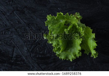 Similar – Image, Stock Photo Fresh leaf salad on a board with text space on the left