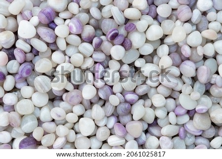 texture of Light Purple lavender plum natural small mineral rock stones gemstone particles. Decorative Stone pebbles for coating in the Aquarium or garden. Extreme close up of heap,  top view 