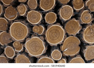 Texture of logs.