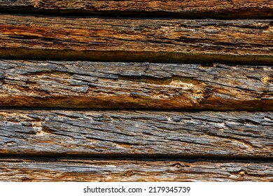 Texture Of Logs Damaged By Wood Pests. Wooden Pattern For Background