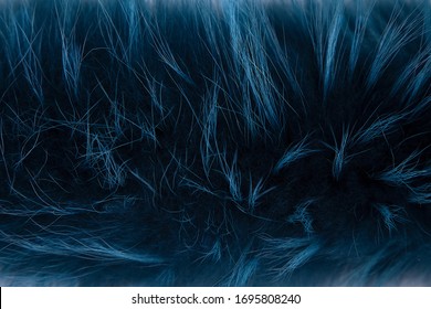 Texture of long-haired Arctic Fox fur, color dark blue. Close up. Background, Wallpaper. Natural fur, dyed. The raising of animals in captivity on fur farms. - Powered by Shutterstock