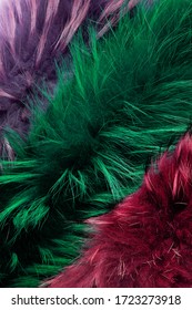 Texture Of Long-haired Arctic Fox Fur, Three Colors-purple, Emerald And Burgundy. Close Up. Natural Fur, Dyed. Fur Farming. Background, Wallpaper.