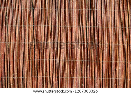 Texture made with thin branches of trees, hith resolution close up wiew. 