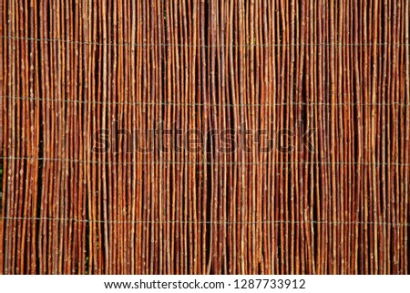 Texture made with thin branches of trees, hith resolution close up view.