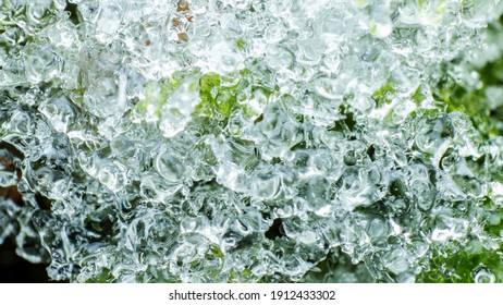 Texture Of Melting Snow, Macro Background, Through The Transparency Of The Snow, The Outlines Of Greenery Are Visible