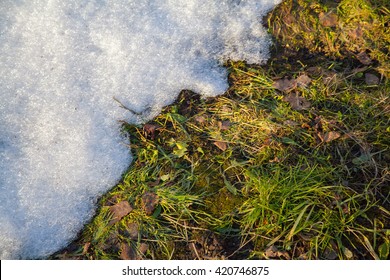 Texture Of Melting Snow On Green Grass Lawn