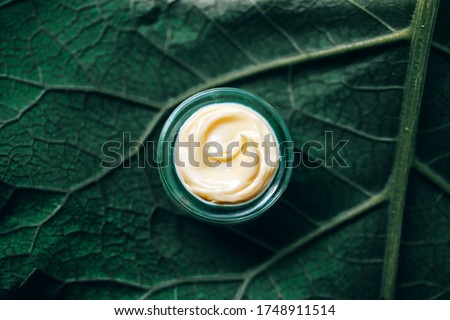 Texture of natural cosmetic cream for body care on a green leaf. Natural organic cosmetics from plants for skin care