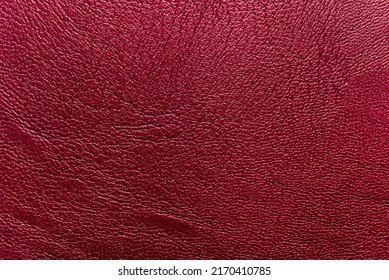 The Texture Of Natural Leather Is Red Or Burgundy. Leather Background