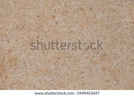 Texture of natural shell rock as a background.