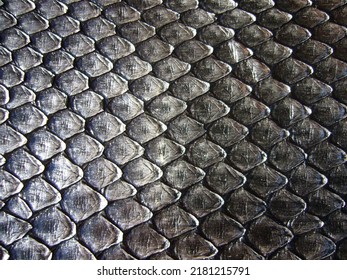 The texture of natural skin of a python, a snake.
Gray snake skin, animalistic background, print.