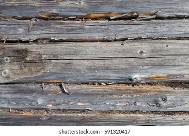 The texture of natural wood