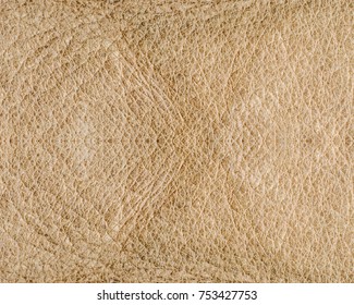 Texture Of Old Beige Pigskin 