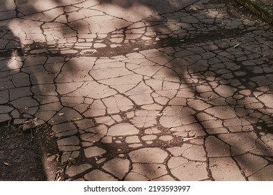 Texture Of Old Cracked Asphalt Pavement. Shadows Of Trees On The Surface. Close Up.