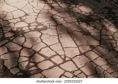 Texture Of Old Cracked Asphalt Pavement. Shadows Of Trees On The Surface. Close Up.