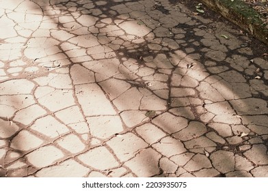 Texture Of Old Cracked Asphalt Pavement. Shadows Of Trees On The Surface. Close Up. Evening Sunlight.