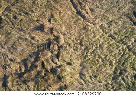 Texture of old grass aerial view. Field surface texture aerial view. Swamp view from above. Grass texture view from a great height.