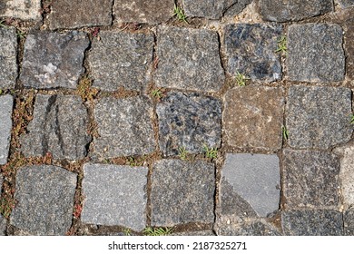 Texture Of Old Paving Stones. Background For Design