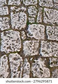 Texture of an old stone path moss plant high-quality photo.