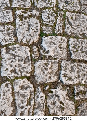 Texture of an old stone path moss plant high-quality photo.