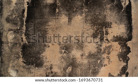 Texture of an old wall in an abandoded crypt