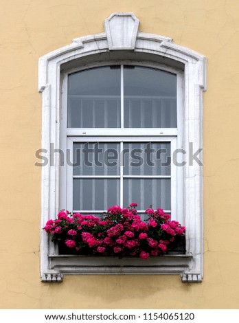 Similar – UT Only floating is more beautiful I Cozy flower window