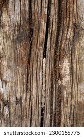 Texture of old wood, railway sleeper