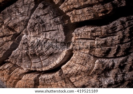 Texture In Old Wooden Fence Posts