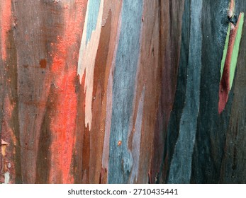 The texture of the outermost part of the tree bark is very hard and has various shapes.