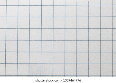texture of paper in the cell