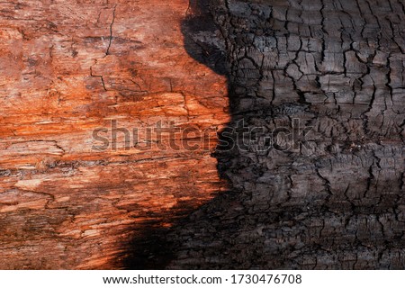 texture of partially burned wood material. Half the wood was charred